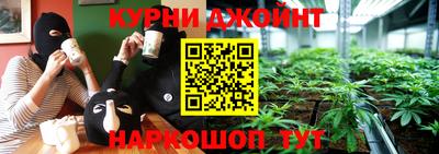 стаф Берёзовский