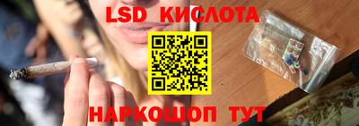 стаф Берёзовский