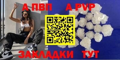 стаф Берёзовский