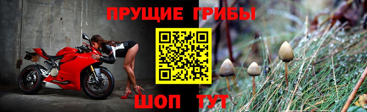 Изобильный  Псилоцибиновые грибы мицелий  Вход с VPN  Галлюциногенные грибы MAGIC MUSHROOMS 